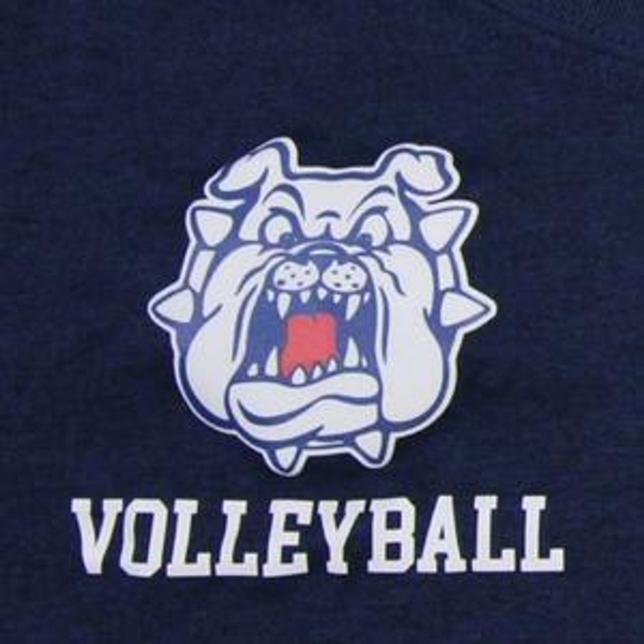 Fresno State Bulldogs